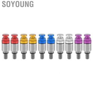 Soyoung 2pcs M5x0.8 Aluminium Alloy  Air Bleeder Pressure Relief Valve Replacement for CRF150R CR125R CR250R New Arrivals