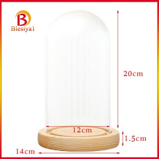 [Blesiya1] ฐานไฟ LED พร้อมฐานไม้ สําหรับตกแต่งบ้าน งานแต่งงาน DIY