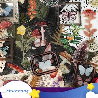 Chunrong สติกเกอร์ ลาย Old Time Garden PET สําหรับตกแต่งสมุดโน้ต อัลบั้มภาพ 40 ชิ้น ต่อถุง