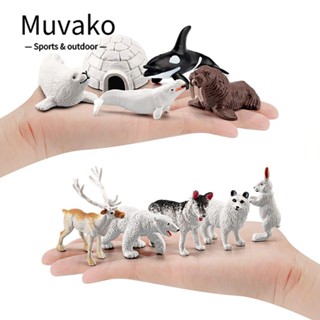 Muvako 10 ชิ้น / เซต โมเดลสัตว์อาร์กติก ของเล่นวิทยาศาสตร์ ขนาดเล็ก เพื่อการศึกษา วิทยาศาสตร์ ซีลขนาดเล็ก ไม้วอลรัส