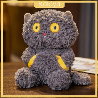 [Kokiya] ของเล่นตุ๊กตาแมวนอนหลับ เปลี่ยนหน้าได้ สําหรับเด็กผู้ชาย และเด็กผู้หญิง