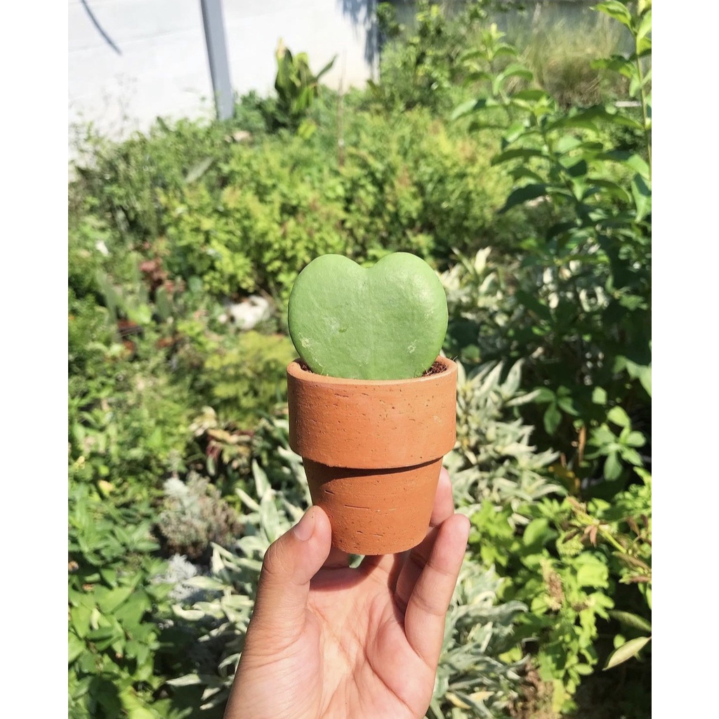 มุมมอง 2