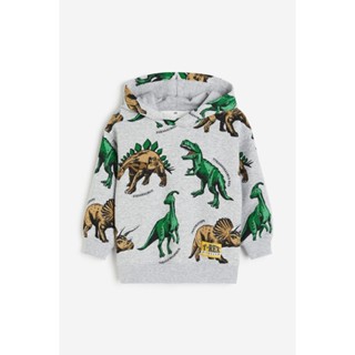 H&amp;M  Boy Printed hoodie 1119694_2