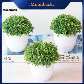 &lt;moonback&gt; ลูกบอลหญ้า ขนาดเล็ก ไม่ซีดจาง ไม่ซีดจาง สําหรับสํานักงาน