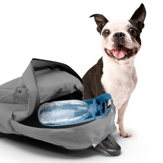 550ML Drinking Reusable Hiking Lightweight Pet Supplies With Lanyard Foldable Portable Dog Water Bottle