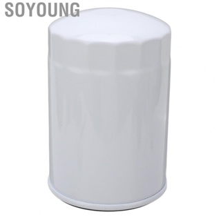 Soyoung Engine Oil Filter Durable  Engine Oil Filter High Efficiency 3850559 for Car