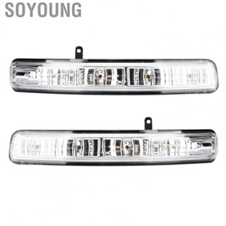 Soyoung Rear View Mirror Turn Signal Light Colorfast Car Turn Signal Light  Light Bright Light for Vehicle