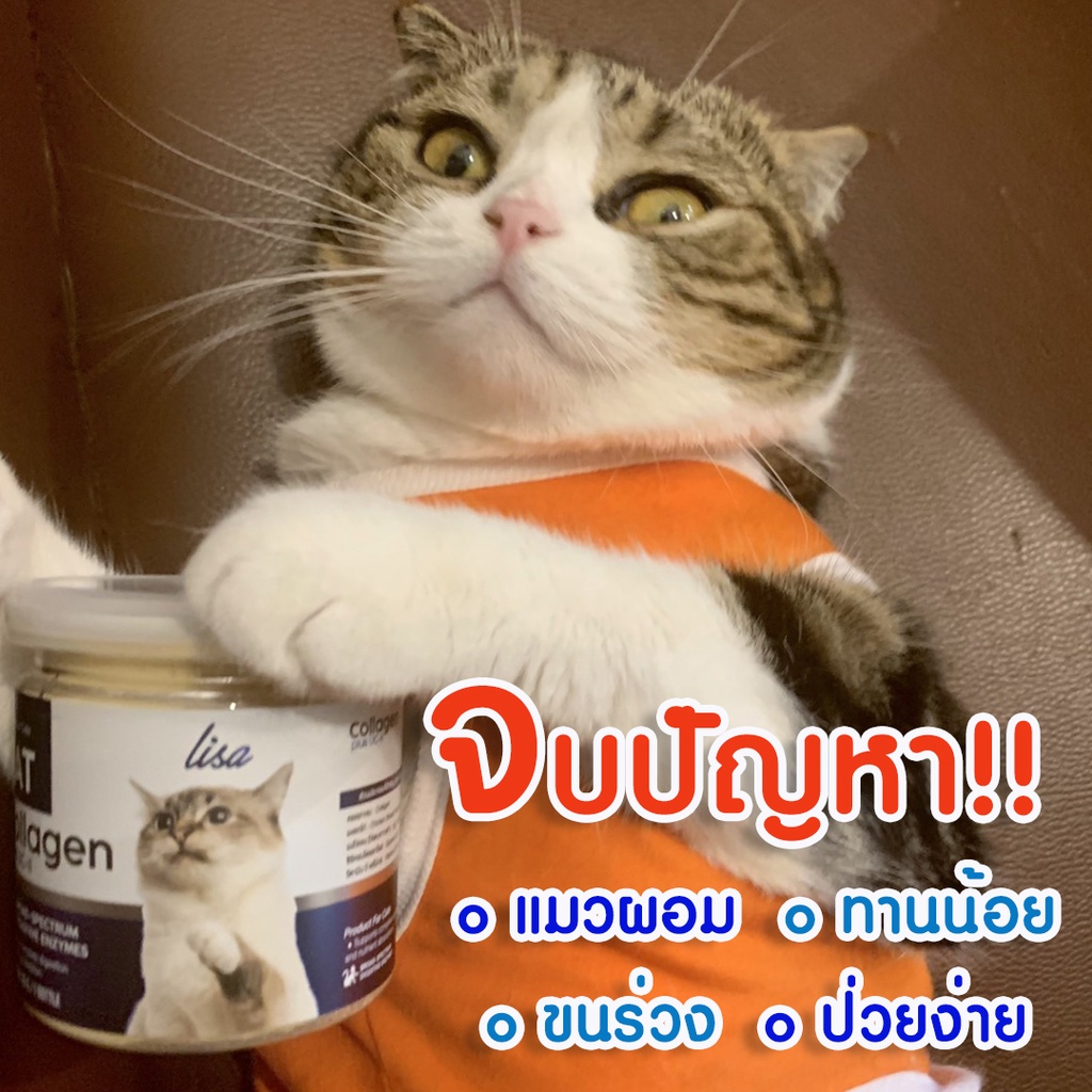 โปรของแถม+ส่งฟรี #ผงโปรตีนแมว แท้100% #Lisa Cat Collagen #ผงโรยอาหารสำหรับน้องแมว ขนสวยสุขภาพแข็งแรง - รูปที่ 4