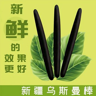 Xinjiang Usma มาสคาร่า ดินสอเขียนคิ้ว ขนคิ้ว แบบแท่ง