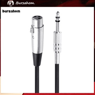 Bur_ DOONJIEY สายเคเบิ้ลไมโครโฟน 3 Pin XLR Female to 1/4 นิ้ว