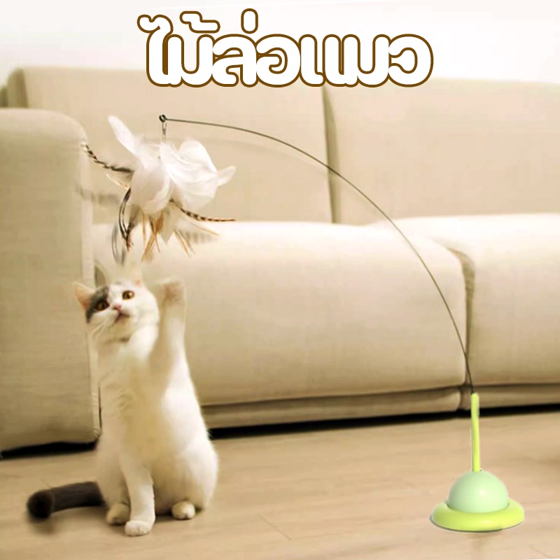 Cat toy ไม้ล่อแมว ติดพื้นไม้ตกแมว ของเล่นล่อแมว ของเล่นก้านยาว มีถ้วยดูด 19 ใบ ขนนก ถอดออกได้ สําหรับแมว