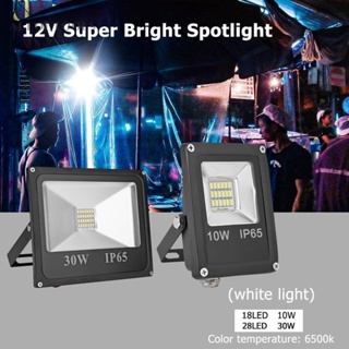 โคมไฟโปรเจคเตอร์ LED IP65 12V 10W 30W 6500K กันน้ํา สําหรับติดตกแต่งผนังบ้าน สวน กลางแจ้ง