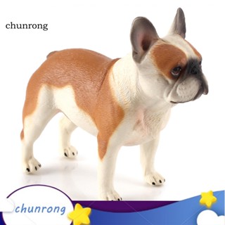 Chunrong โมเดลฟิกเกอร์ รูปฟาร์มสุนัขจิ๋ว สําหรับตกแต่งบ้าน