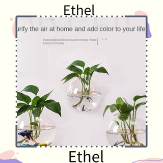 Ethel1 แจกันแก้วไฮโดรโปนิก ไฮโดรโปนิก แบบใส ติดผนัง สําหรับตู้ปลา