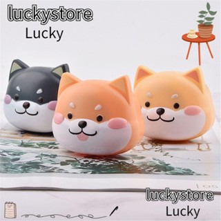 Lucky คอนแทคเลนส์ แบบพกพา Shiba Inu พร้อมที่วางกระจก