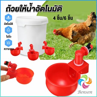 Bensen ถ้วยให้น้ำอัตโนมัติ สำหรับไก่ 4 ชิ้น 6 ชิ้น Automatic drinker