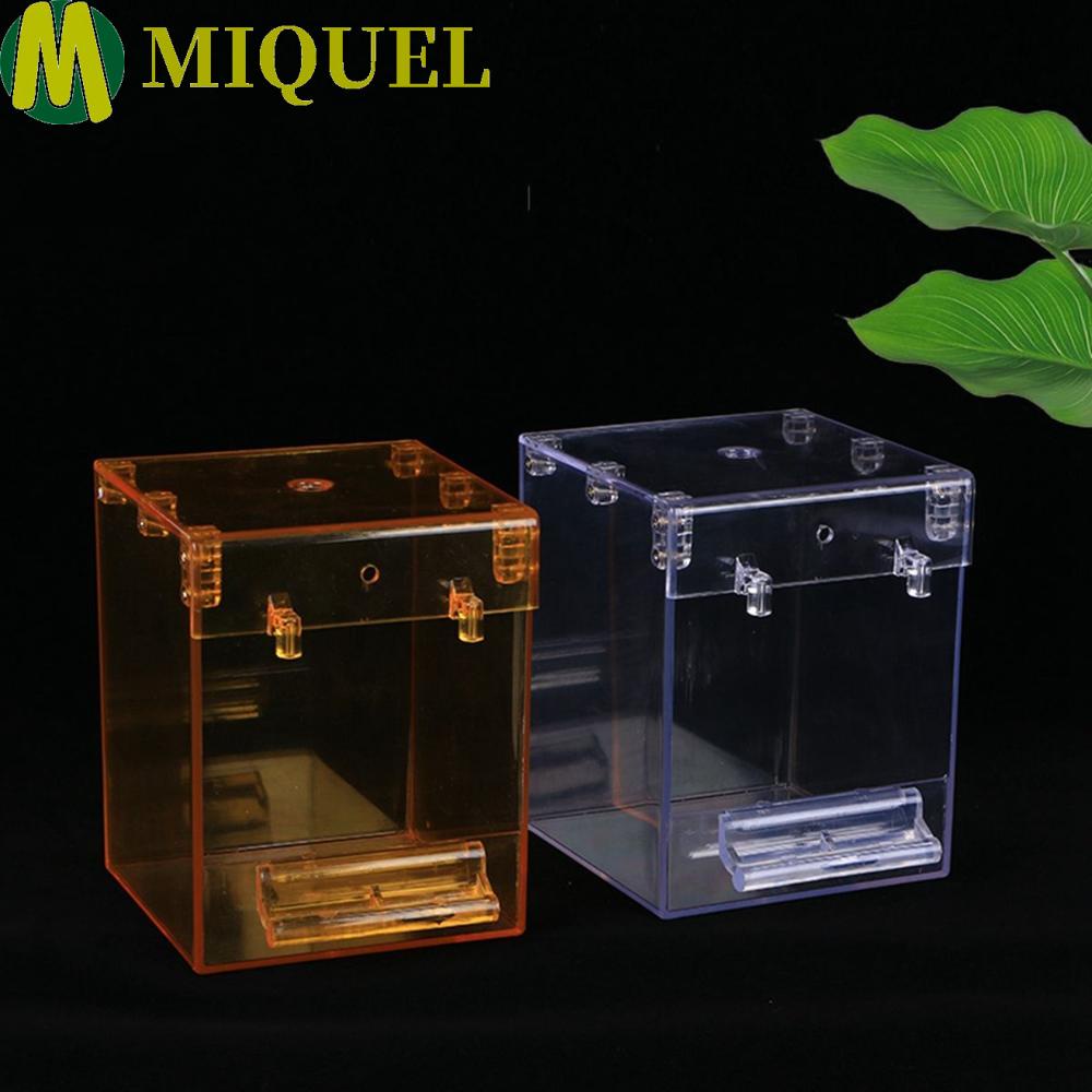 Miquel กล่องอาบน้ําอะคริลิคสําหรับอาบน้ําสัตว์เลี้ยงนกแก้วหลากสี