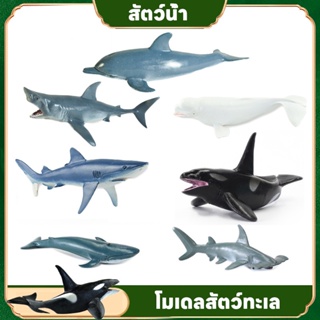 COD🐋โมเดลสัตว์ทะเล ไซส์จัมโบ้ ไม่บาดมือ โมเดลสัตว์ โมเดลสัตว์ของเล่นเสริมพัฒนาการ สัตว์ของเล่น ของเล่นเด็ก