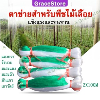 【Grace】ตาข่ายปลูกผัก โครงไม้เลื้อย ค้างไม้เลื้อย ตาข่ายพลาสติก ตาข่ายไนล่อน ตะข่ายไนลอน ต้นไม้เลื้อย อวนแตงหลักไม้เลื้อย