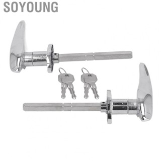 Soyoung Car Exterior Door Handle  Comfortable Touch Lustrous Appearance Ergonomics Grasp Door Handle 1 Pair  for Vehicle