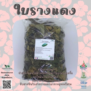 ใบรางแดงอบแห้ง ขนาด100กรัม ใช้เป็นชาหรือประกอบอาหาร สินค้าพร้อมส่ง (Phuchifa_Organic)