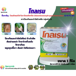 ไดเมโทมอร์ฟ+ไพราโคลสโตรบิน โกลเรน 1กิโล ป้องกันกำจัดไฟท๊อปล้างใบติดต้นเน่าผลเน่า รักษาโรคกิ่งแห้งฟิวซาเรียม หยุดทุกเชื้อ