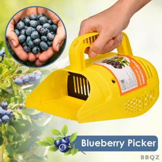 [Bbqz01] คราด และที่เก็บเกี่ยว สําหรับ Cranberries Blackberries Huckleberries