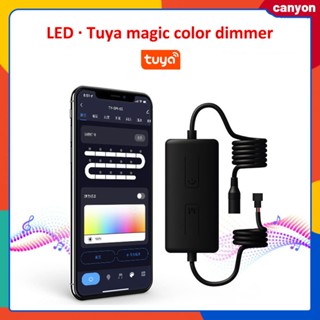 Tuya ไฟ LED พร้อมตัวควบคุมอัจฉริยะ Rgb ไฟหรี่หลายสี สมาร์ทโฟนที่ปรับได้ การควบคุมแอป แคนยอนควบคุมเสียงแบบแฮนด์ฟรี