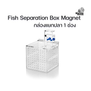 Marine Source กล่องแยกปลา 1 ช่อง Fish Separation Box กล่องพักปลา กล่องอนุบาลปลา ปลาป่วย ปลาท้อง FSB-1A