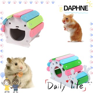 DAPHNE Cute Wooden Colorful Snail Design Hamster House Animal Sleeping House Hedgehog Exercise Rabbit Small Animals