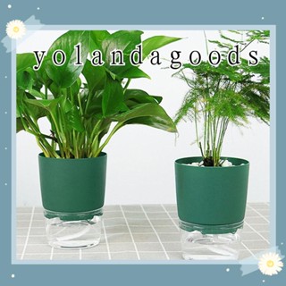 YOLA 1/2Pcs Self Watering Flowerpot 2 layer Transparent circle Automatic water absorption Hydroponics Watering Planter With cotton rope Self-watering