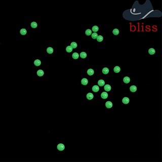 Bliss ลูกปัด ทรงกลม 5 มม. อุปกรณ์เสริม สําหรับตกปลาทะเล