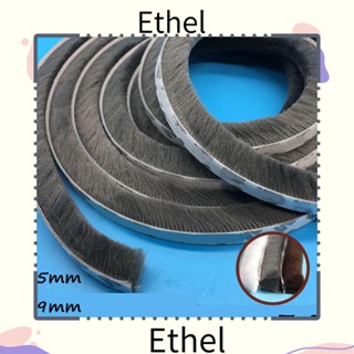 Ethel1 เทปกาวซีล 5 เมตร สําหรับติดผนัง