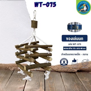 ของเล่น CLASSICA ของเล่นนก wt-075