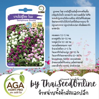 AGAPREMIUM บานไม่รู้โรย โนม 15เมล็ด ตราเอกะอะโกร Gomphrena