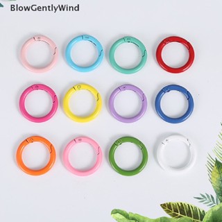 Blowgentlywind พวงกุญแจ ห่วงโอริง คาราบิเนอร์ โลหะ ทรงกลม เปิดได้ 10 ชิ้น ต่อล็อต BGW