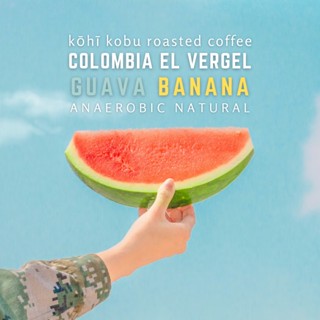 🍉🍊[สดใสฟรุคตี้] Colombia Tolima El Vergel Guava Banana Anaerobic Natural | กาแฟโคลอมเบียกัววาบานาน่า