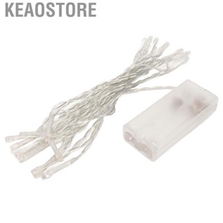 Keaostore String Lights  String Light Colorful 20 Light Chips For Christmas