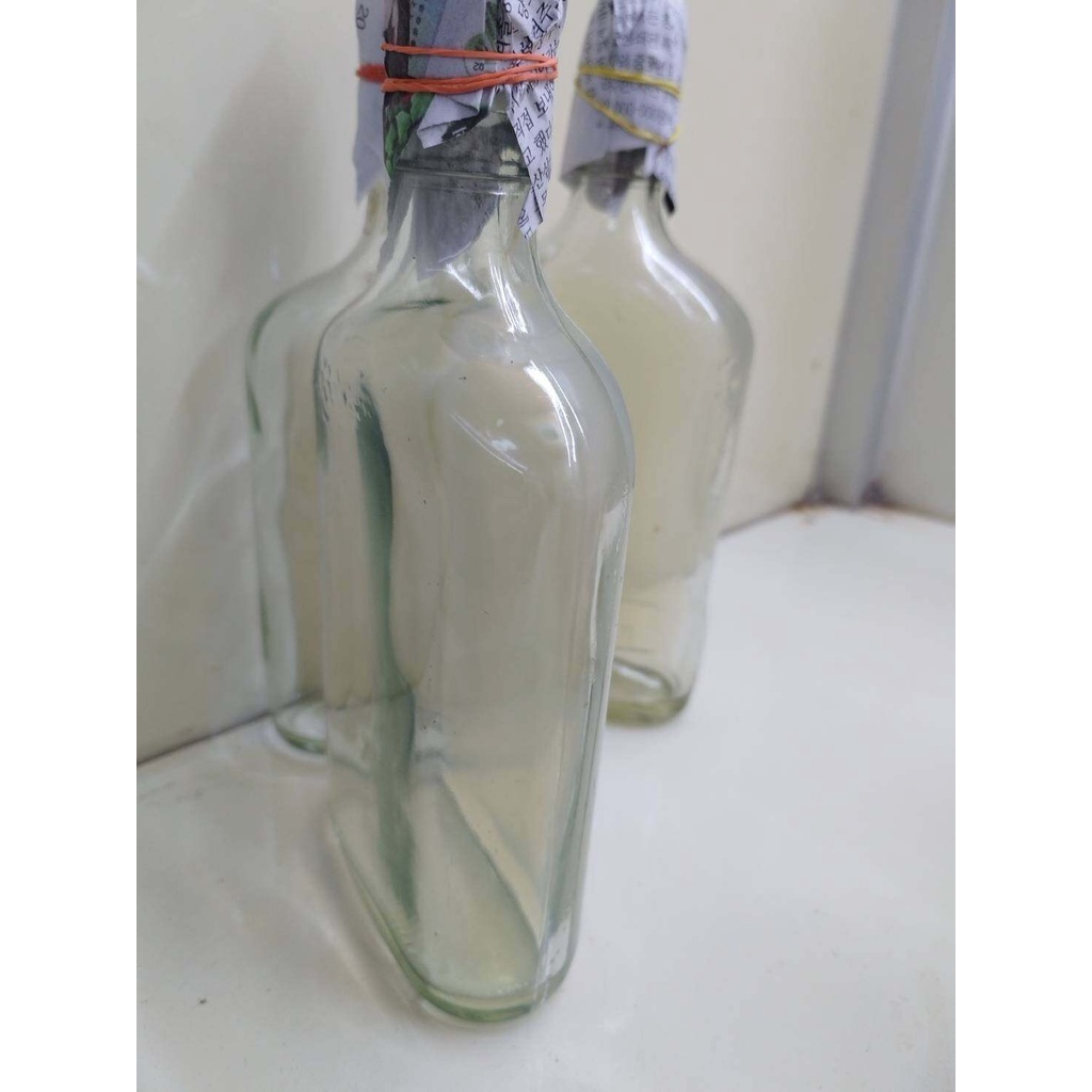 วุ้น PDA (POTATO DEXTROSE AGAR) นึ่งฆ่าเชื้อแล้วพร้อมใช้’ สำหรับเพาะเชื้อเห็ดหรือเชื้อรา #PDA #วุ่น PDA #เชื้อเห็ด ราคา ถูกที่สุด ดีลบีเคเค แกลเลอรีภาพที่ 5
