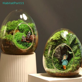 Habitatport แจกันแก้ว รูปไข่ สําหรับตกแต่งบ้าน สวนขวด