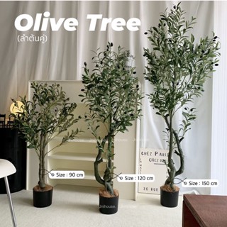 [พร้อมส่ง] ต้นมะกอกปลอม สูง 1.2 1.5 1.8 เมตร Olive Tree (ลำต้นคู่)