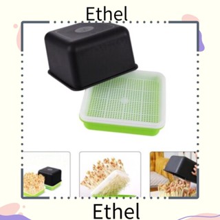 Ethel1 กล่องถาดปลูกต้นกล้า ถั่วงอก 4 ชิ้น ต่อชุด