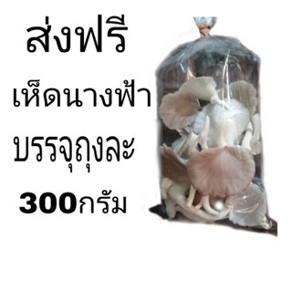 เห็ดนางฟ้าขนาดบรรจุ​300กรัม(ส่งฟรี​ไม่​ใช้โค้ด)​