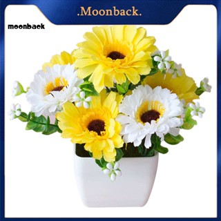 &lt;moonback&gt; ดอกเบญจมาศประดิษฐ์ ยิปโซไม้ กระถางบอนไซ ตกแต่งบ้าน สวน