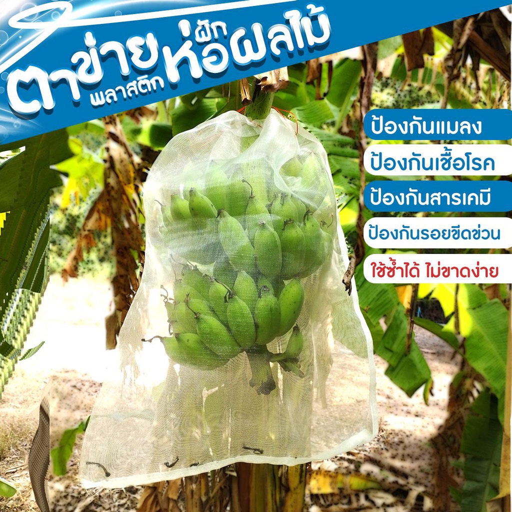 SC Paper-Pack ถุงห่อผลไม้ ตาข่ายพลาสติก แพ็ค 1 ใบ/10 ใบ