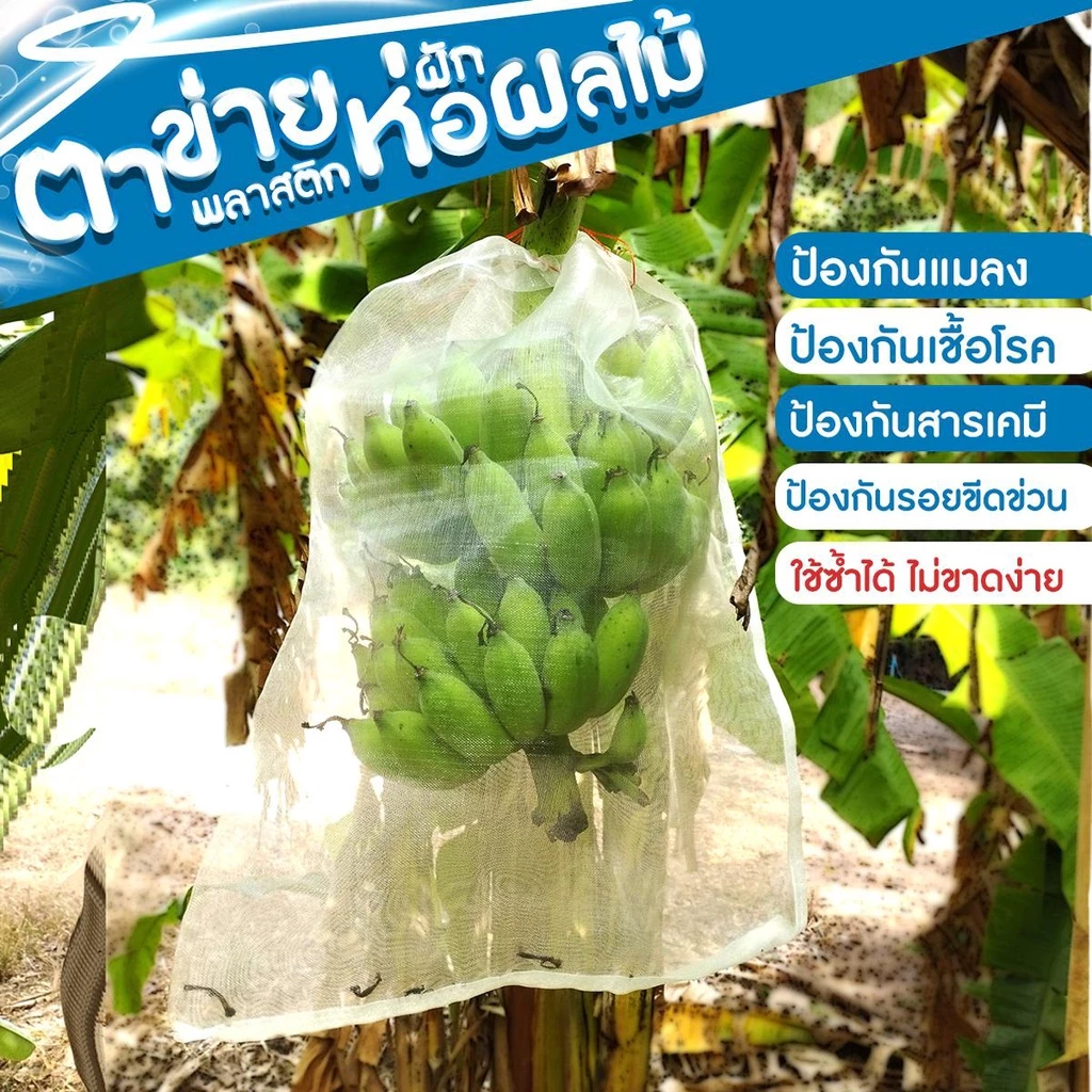 SC Paper-Pack ถุงห่อผลไม้ ตาข่ายพลาสติก แพ็ค 1 ใบ/10 ใบ