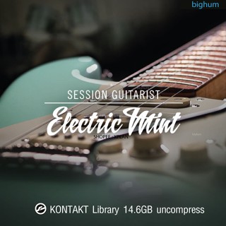 Kontakt Session Guitarist - Electric Mint VST Sound Library | win/Mac [ตัวเต็ม] [ถาวร] 🔥