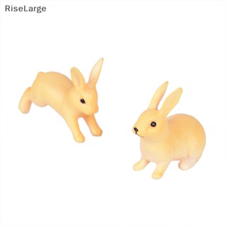 [RiseLarge] ใหม่ ตุ๊กตากระต่ายจิ๋ว สําหรับตกแต่งสวนขวด 2 4 ชิ้น