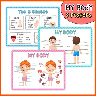 3 ชิ้น My Body การเรียนรู้โปสเตอร์การ์ด Preschool Classroom ตกแต่งโปสเตอร์ Homeschool อุปกรณ์การศึกษาสําหรับเด็ก