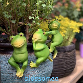 Blossomea ชุดชามสังกะสี รูปกบน่ารัก ขนาดเล็ก สําหรับแขวนตกแต่งสวน บ่อน้ํา บ่อดอกไม้ ระเบียง 3 ชิ้น